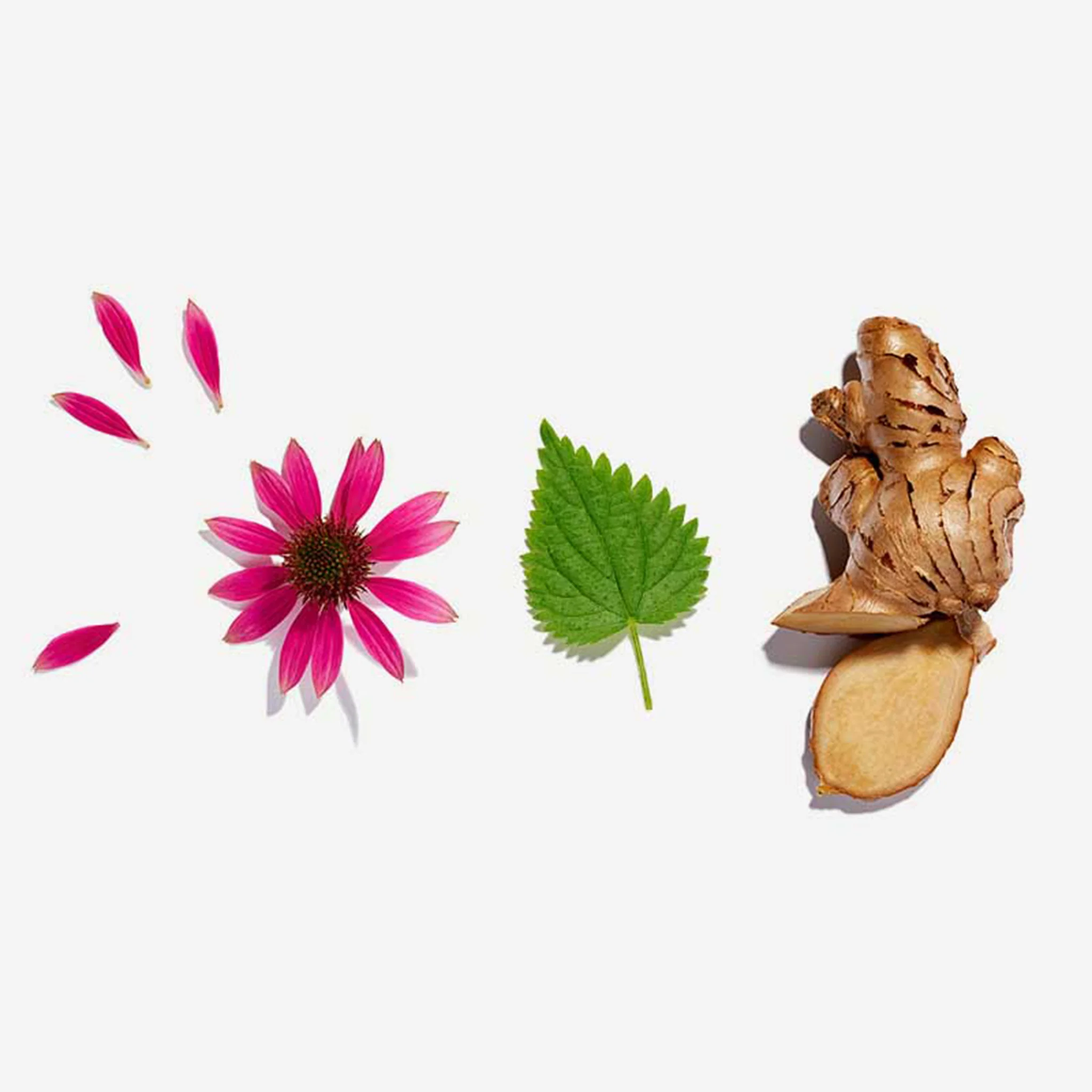 Immunity Loose Leaf Tea 75g - Image 3